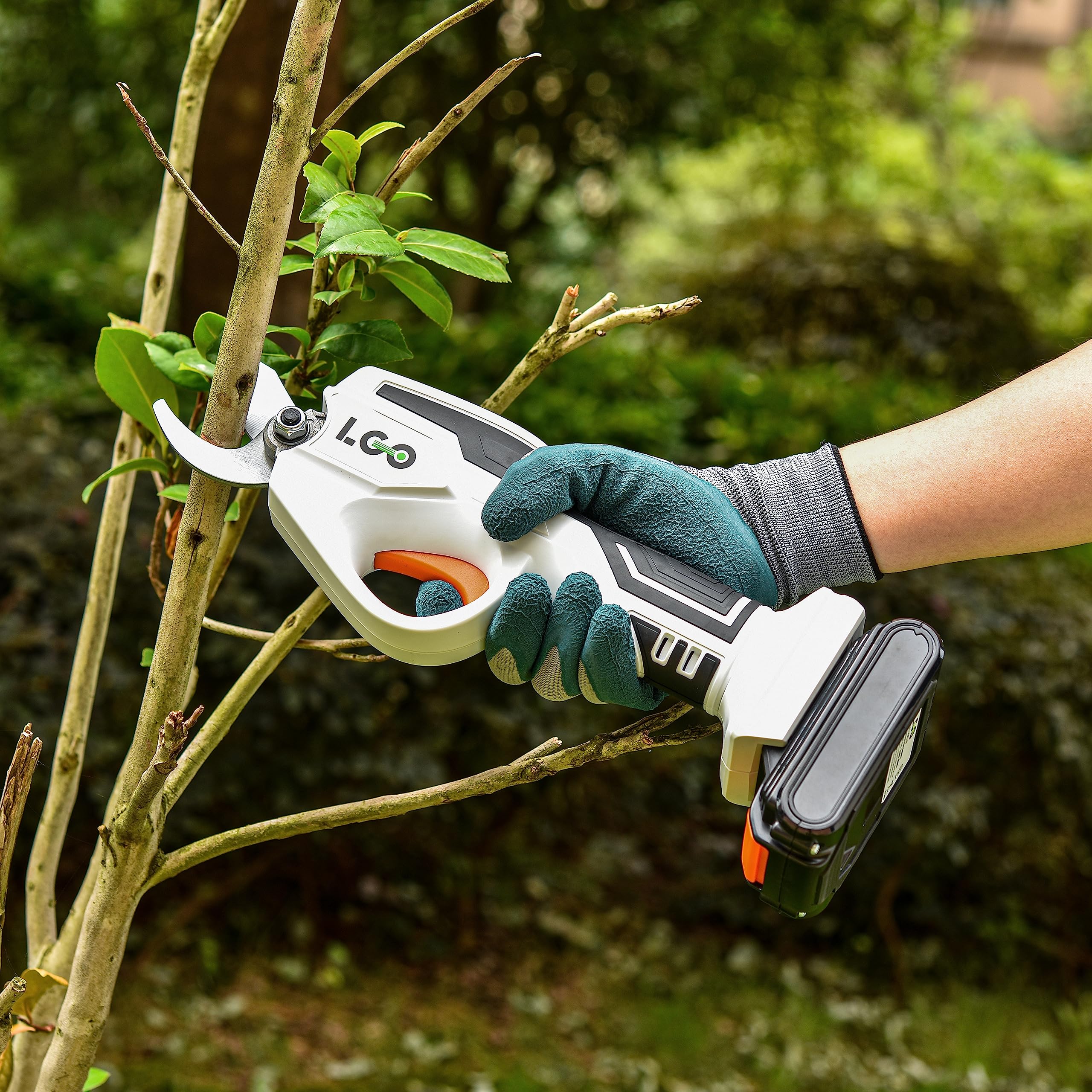 LIGO pruner beside ruler showing 25mm cutting capacity for accurate selection