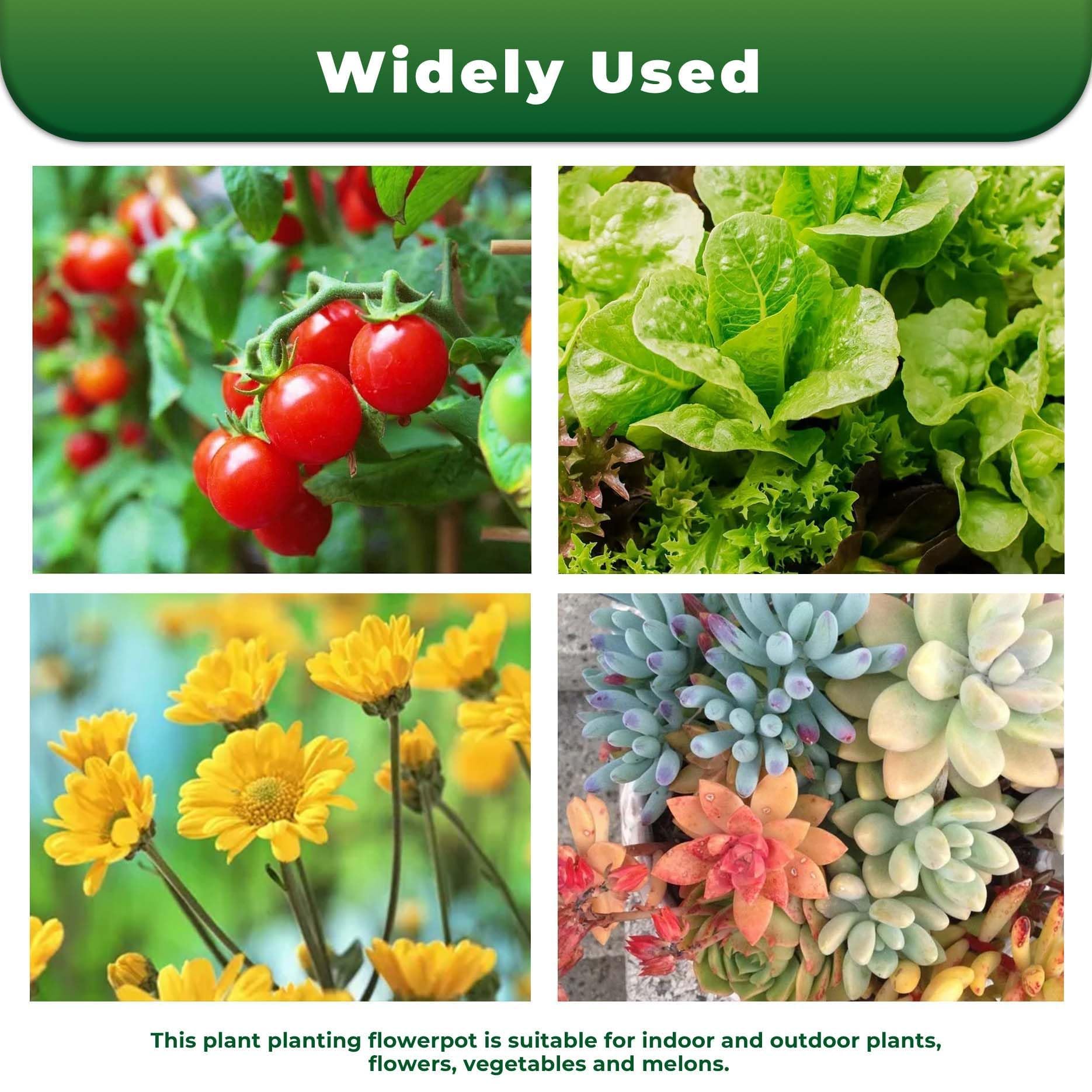 LiGuVCY garden bench display with plants showing commercial-ready presentation