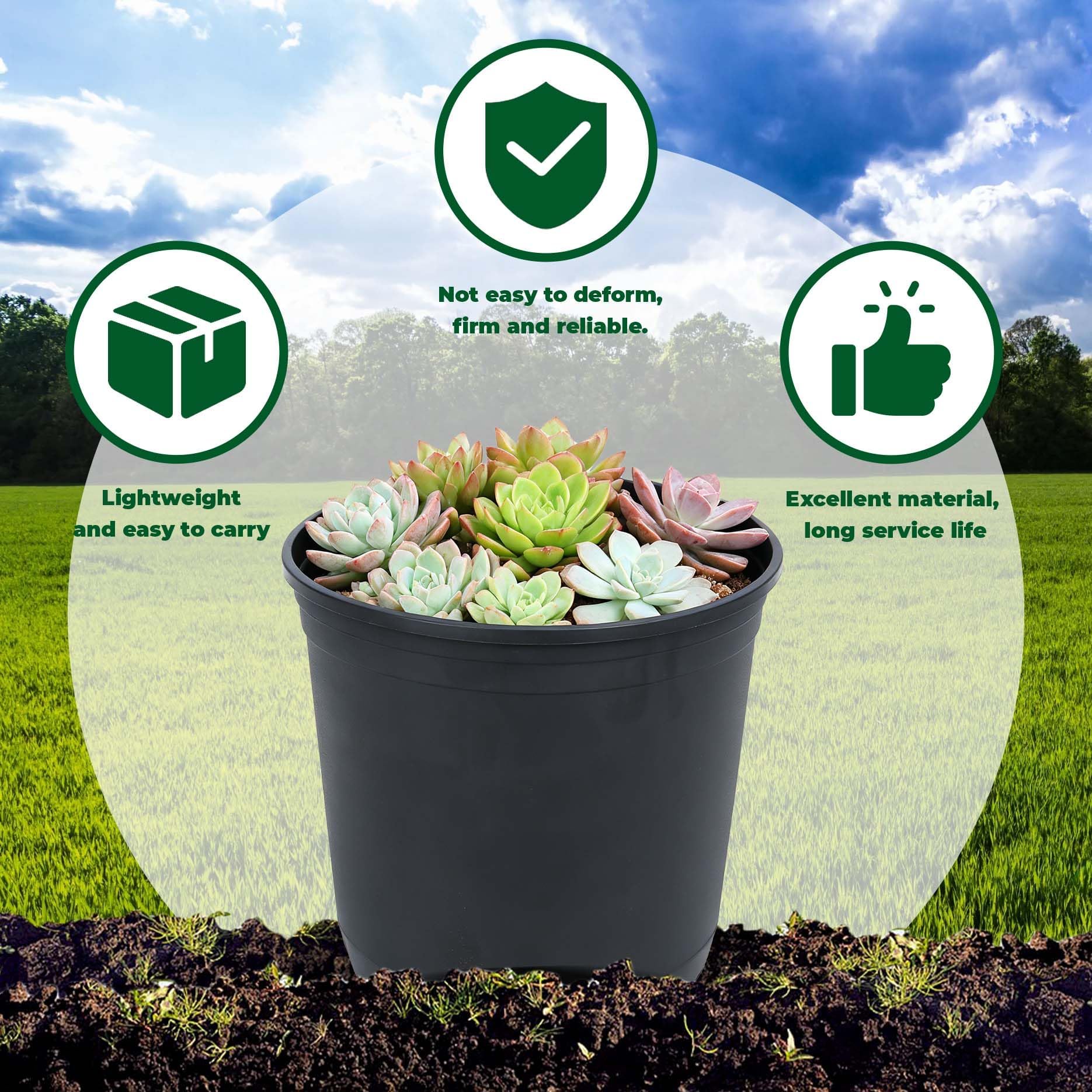 LiGuVCY pot with seedling in mix illustrating ideal starter container