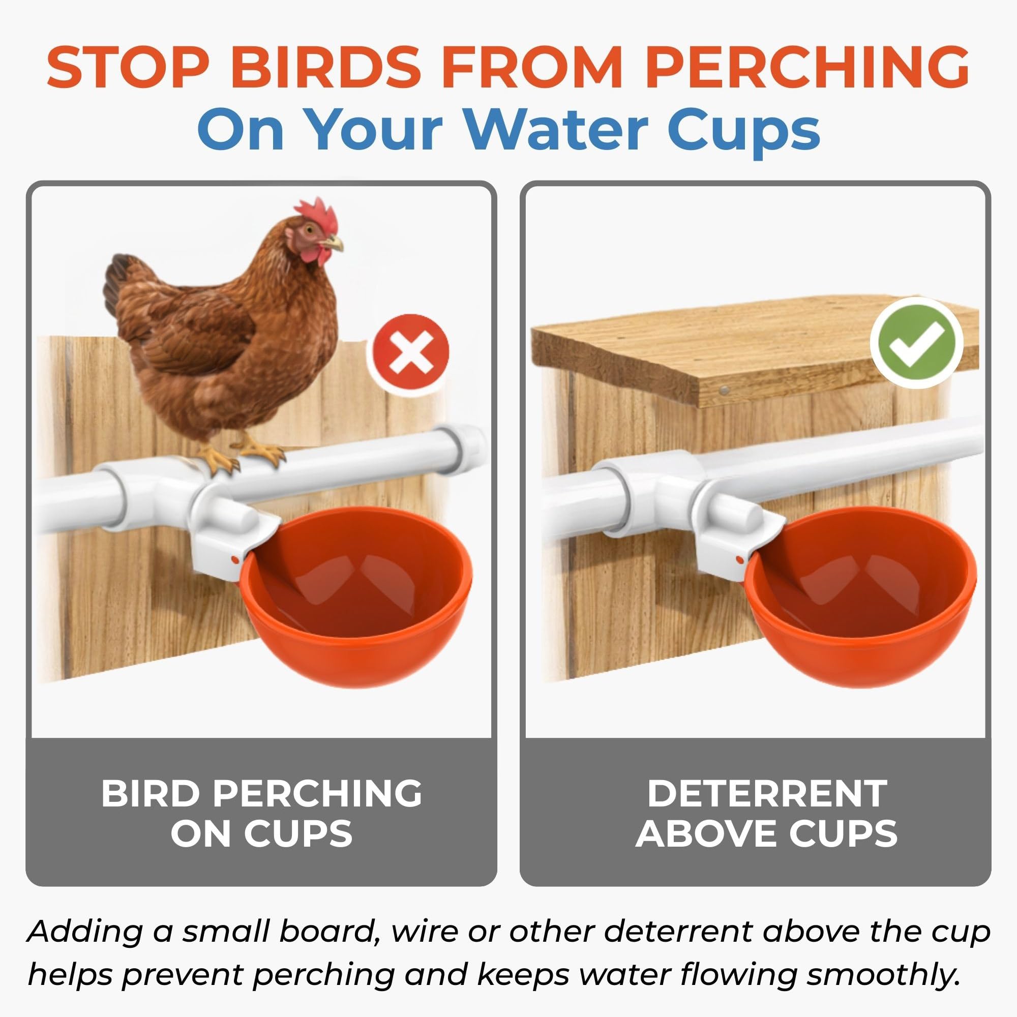 Wide shot of Lil'Clucker cups installed in coop showing tidy, low-maintenance watering setup