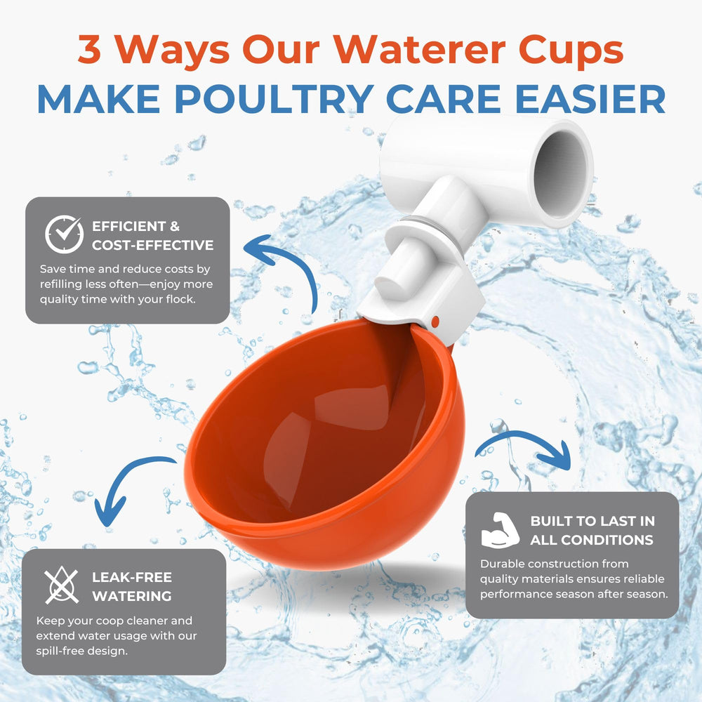 Duck drinking from Lil'Clucker cup showing large diameter and easier water access