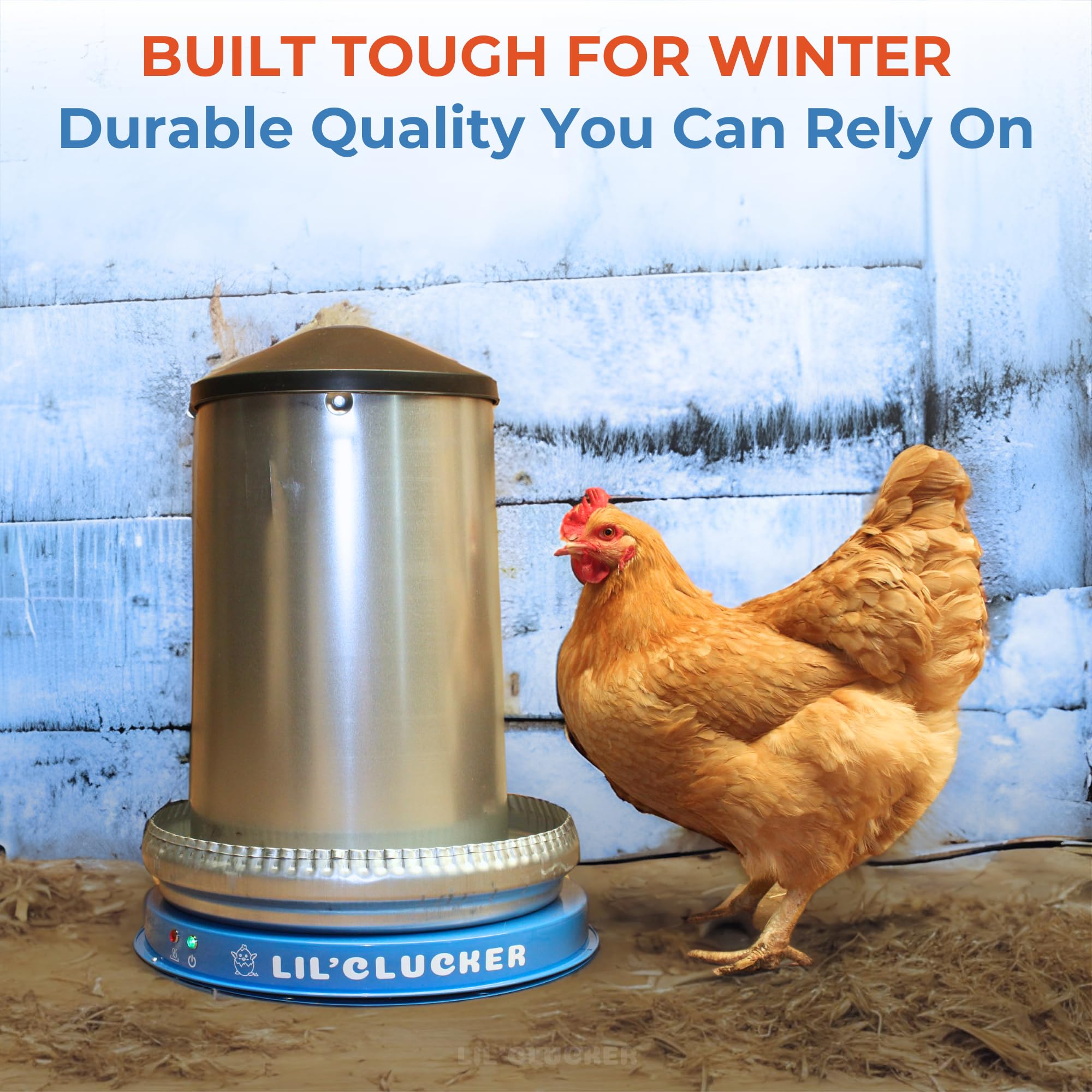 Lil'Clucker heated base installed in a coop showing reliable winter hydration