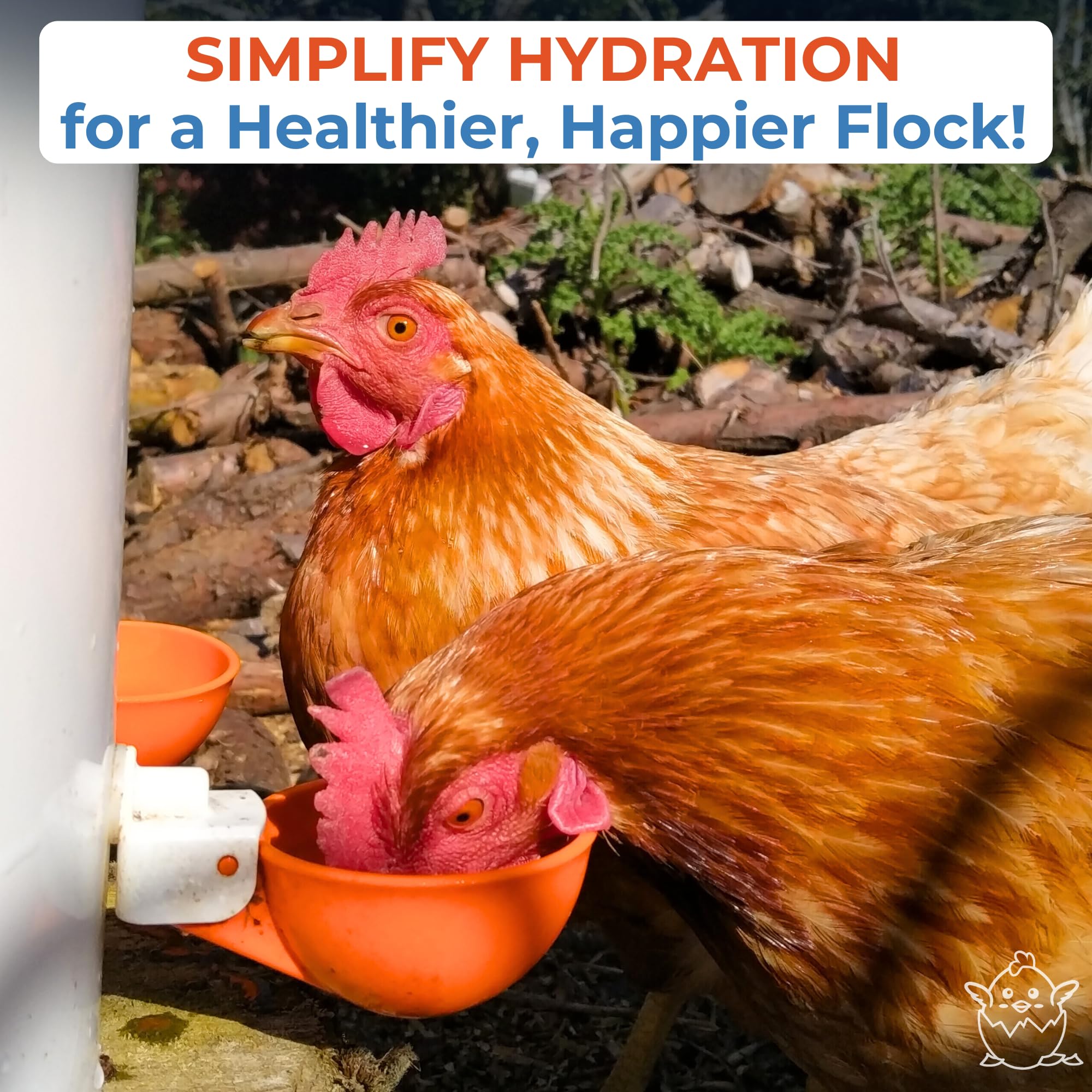 Lil'Clucker cups installed on a 5-gallon bucket for continuous water