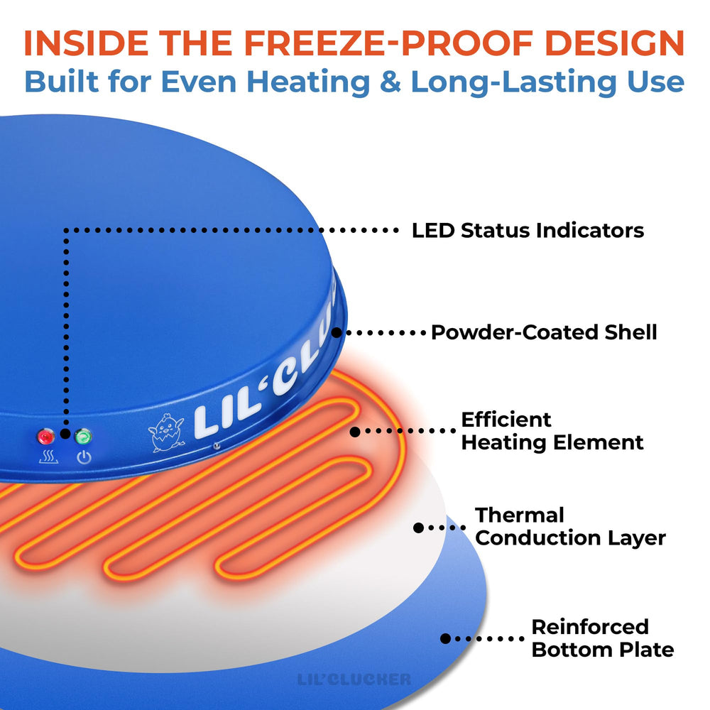 Lil'Clucker size comparison with ruler illustrating the 11-inch footprint advantage
