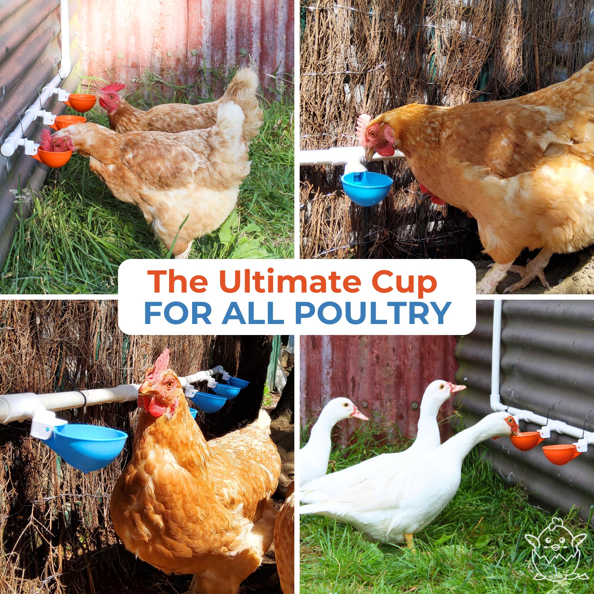 Lil'Clucker kit contents laid out showing everything you get and quick-start convenience