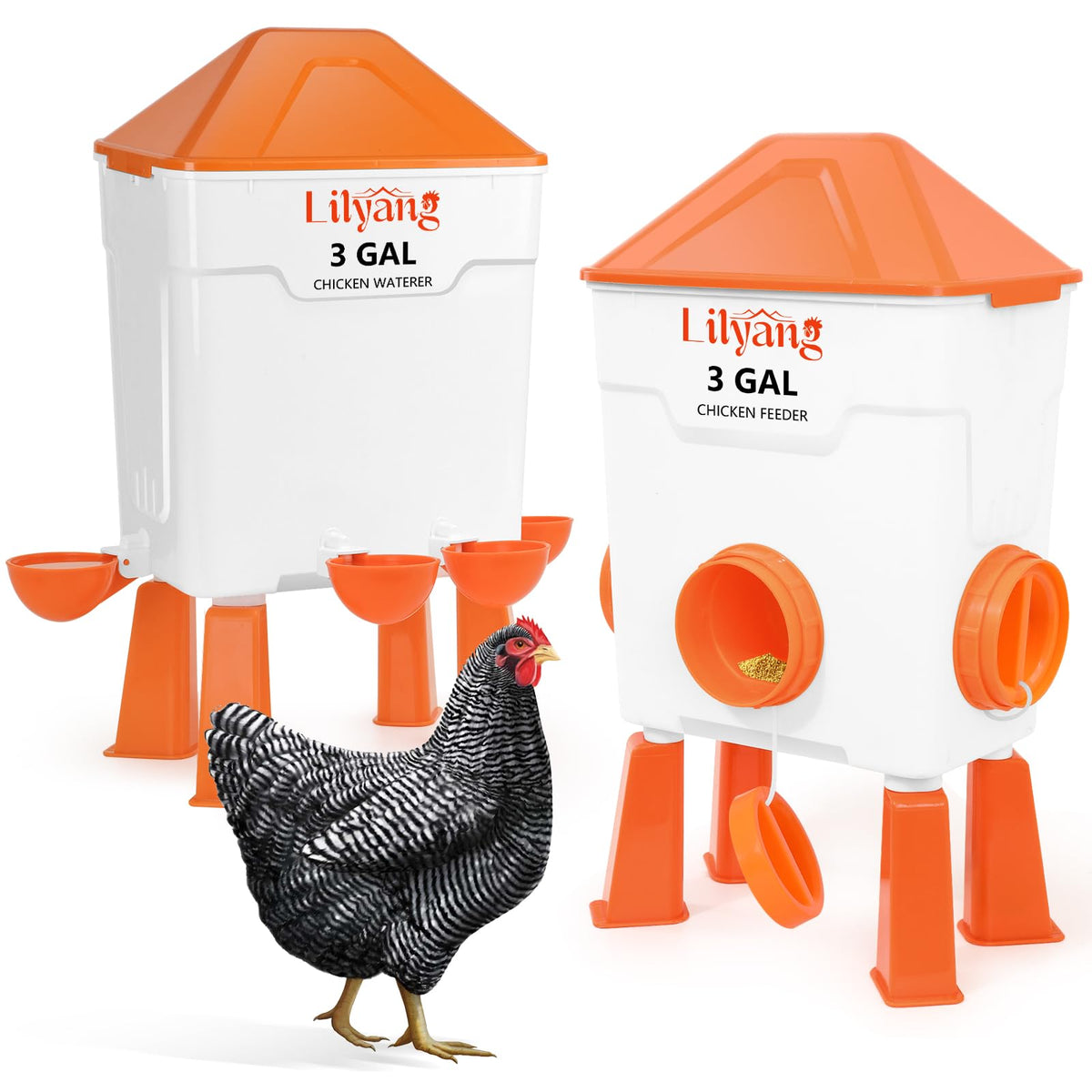 Lilyang front view of 3-gallon feeder and waterer showing tidy setup and reduced refills
