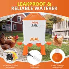 Lilyang feeder on raised legs showing cleaner coop and spill reduction