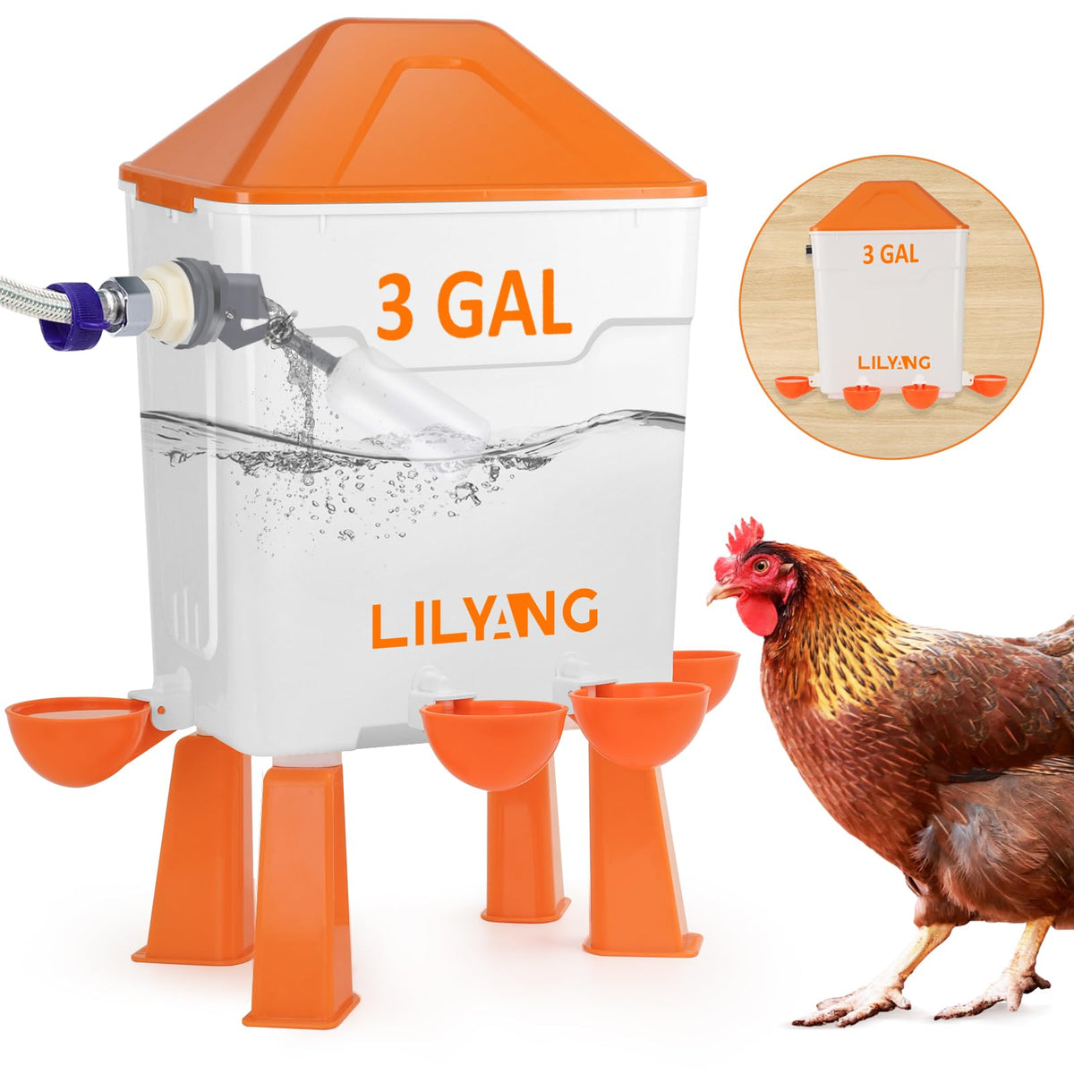 Lilyang front view of 3-gallon automatic chicken waterer showing full unit and benefits