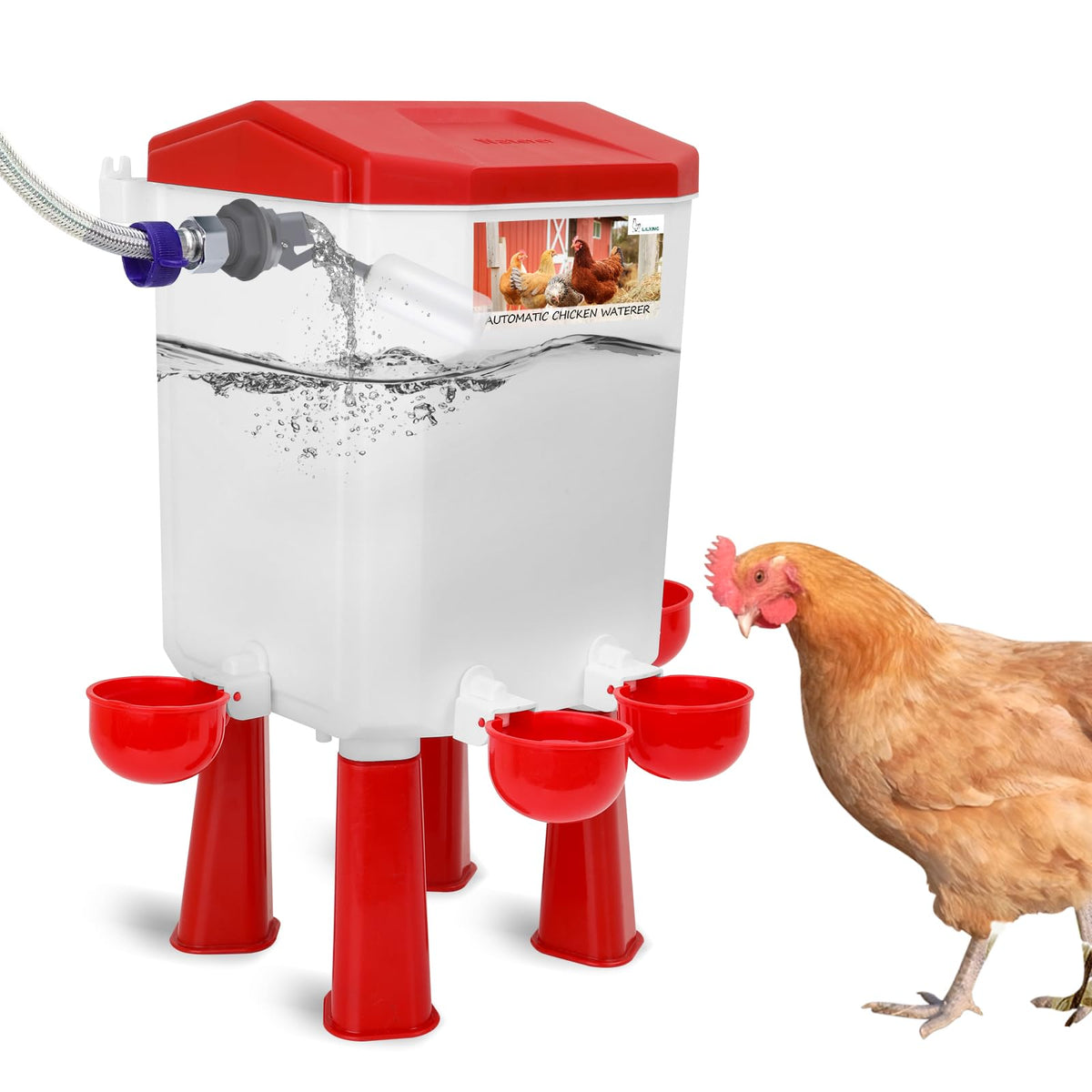 Lilyang front view of automatic chicken waterer showing compact design and stable base
