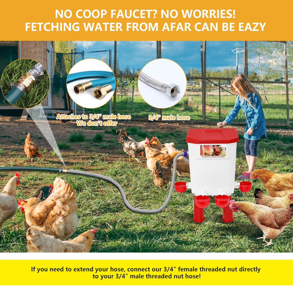 Lilyang automatic waterer in a coop with chickens drinking, reducing chores