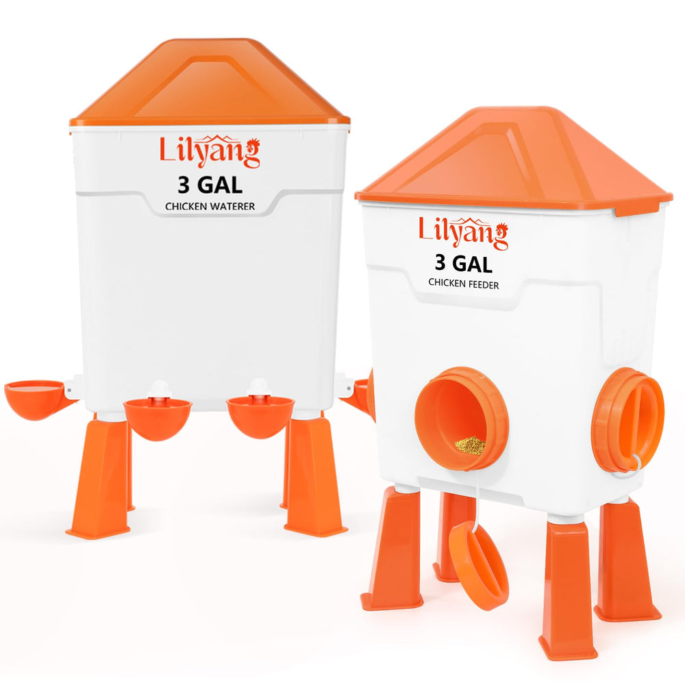 Lilyang in backyard with a small flock demonstrating easy, low-maintenance use
