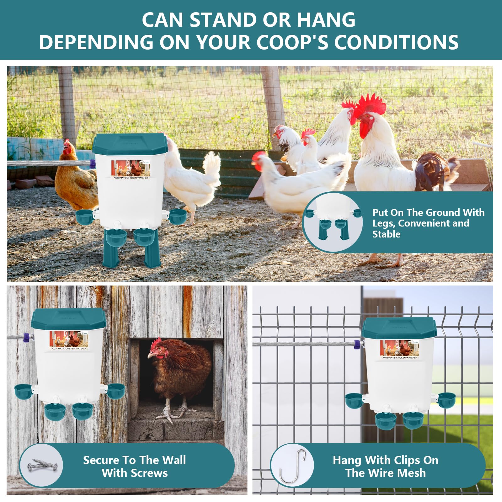 Lilyang installed in coop environment illustrating tidy, low-maintenance watering