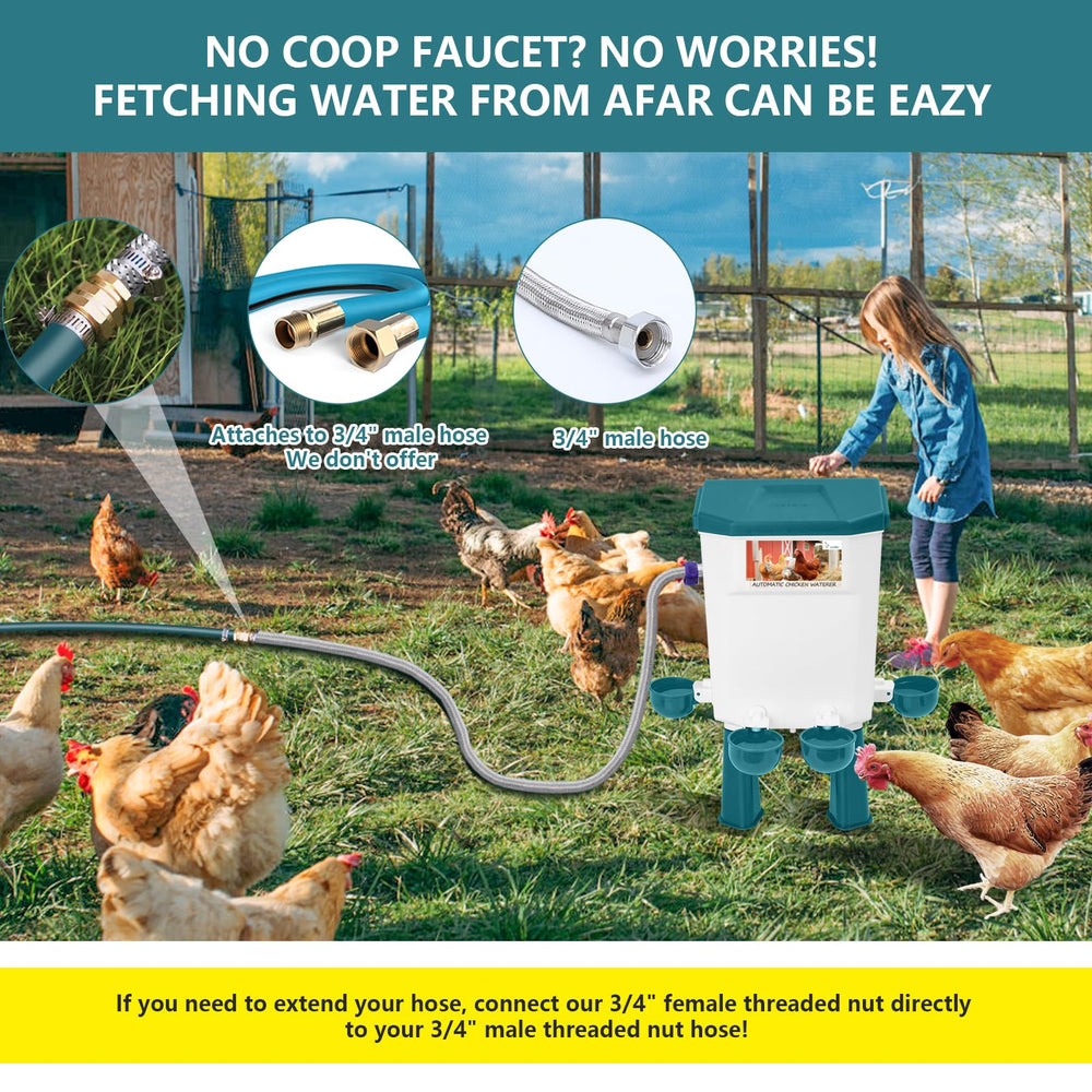 Lilyang waterer beside a hen showing scale and accessibility for birds