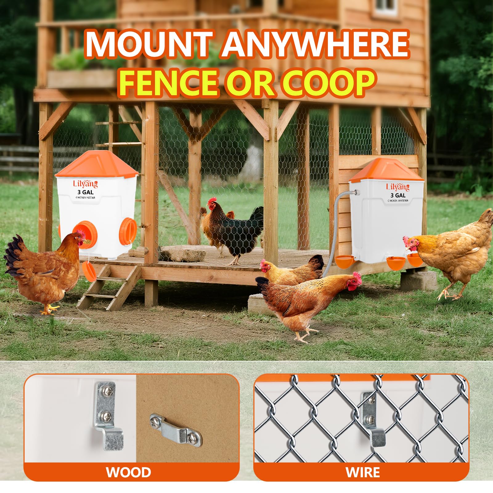 Lilyang size comparison with a chicken showing capacity for small flocks