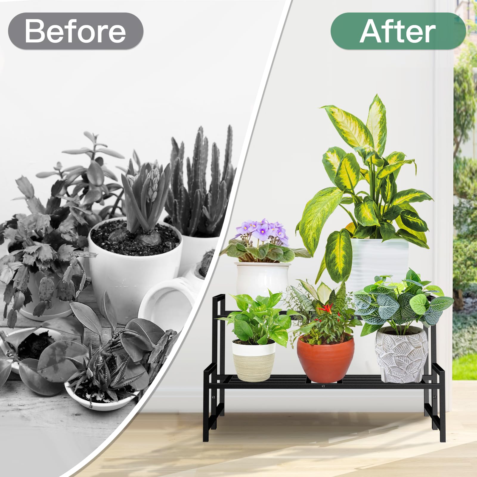 Lilybud in a living room styled as decor and functional plant shelf