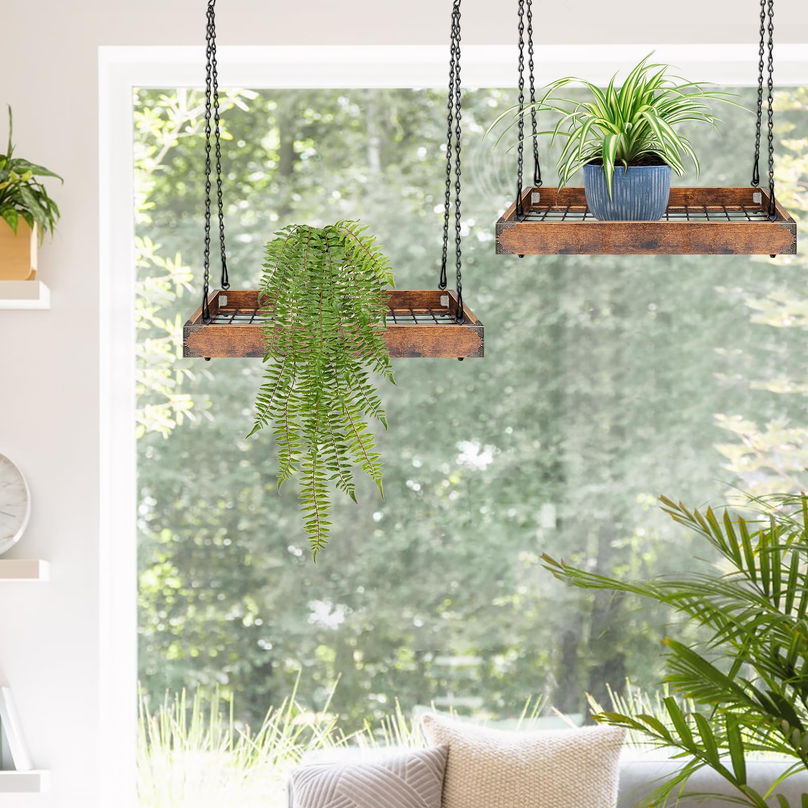 Lilybud hanging planter next to standard pot for scale, visualizes fitting capacity