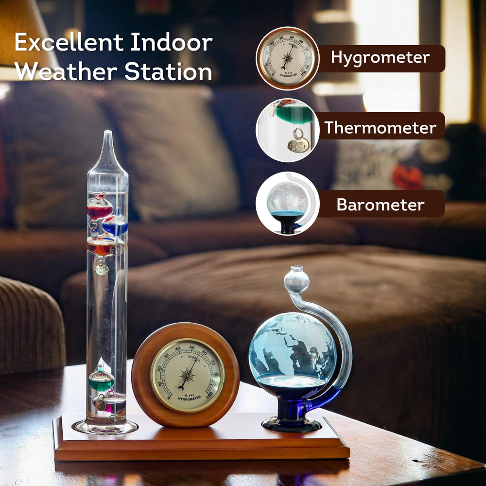 Lily's Home analog hygrometer face showing humidity percentage for quick indoor comfort checks