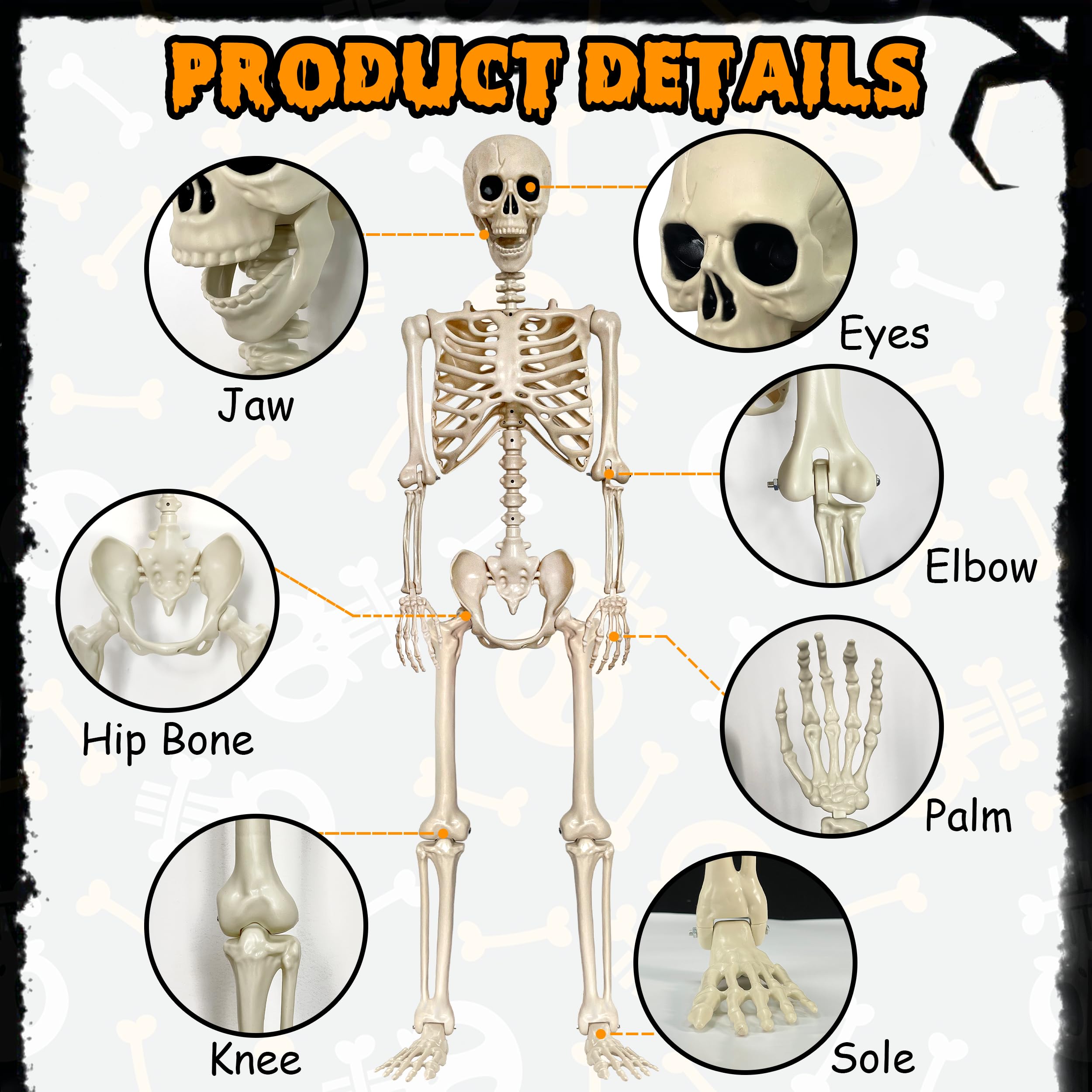 LINAYE skeleton hanging from railing showing poseability and scare factor