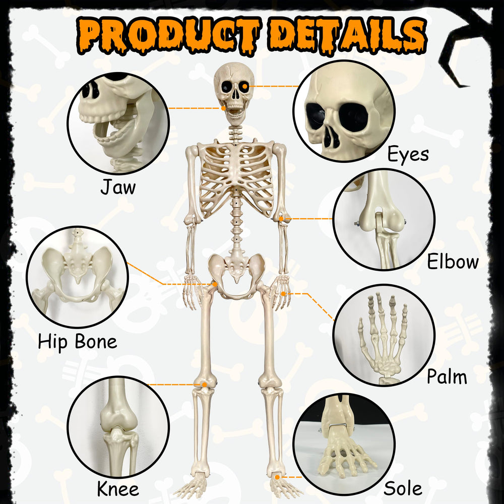 LINAYE skeleton hanging from railing showing poseability and scare factor