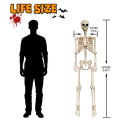 LINAYE skeleton posed on porch demonstrating easy setup and visual impact