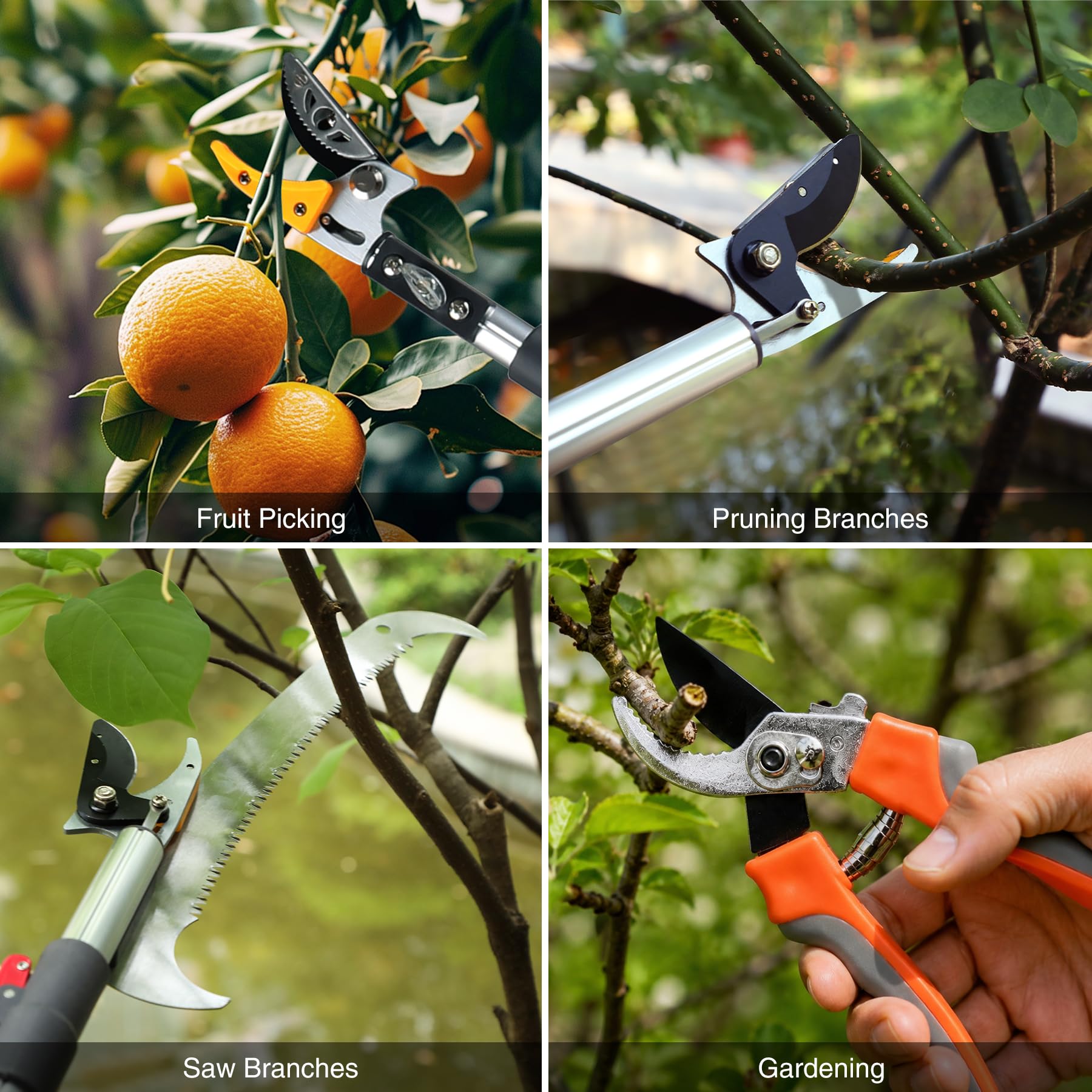 Lineslife lifestyle shot of backyard harvest showing safer ladder-free fruit picking