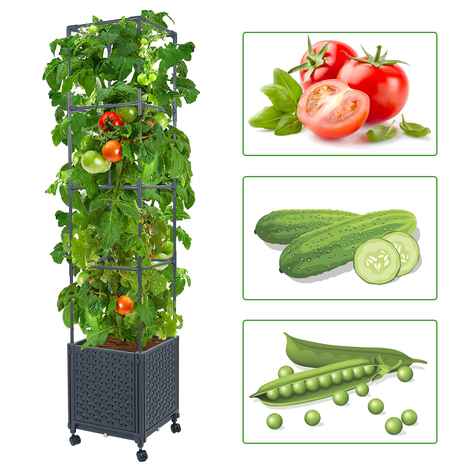 LINEX trellis close-up showing alloy-steel frame, provides durable plant support
