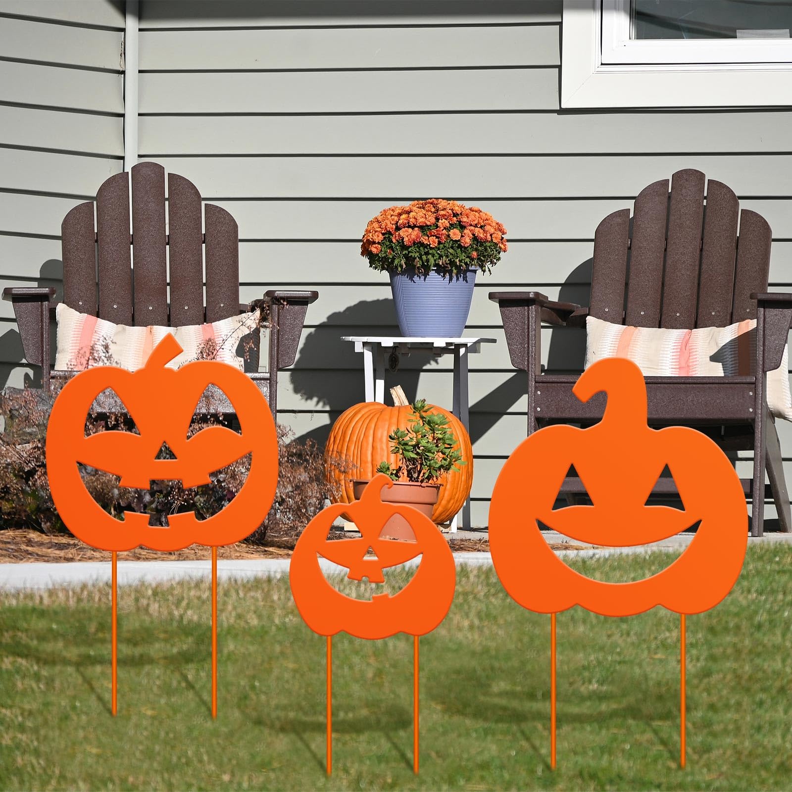 Lingvee three pumpkins side-by-side showing the different sizes
