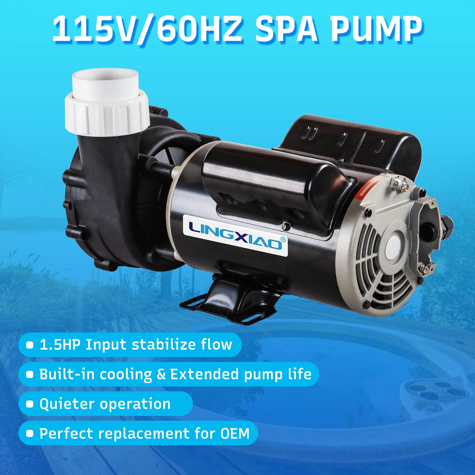 LINGXIAO pump union connection detail showing 2" port for easy plumbing fit