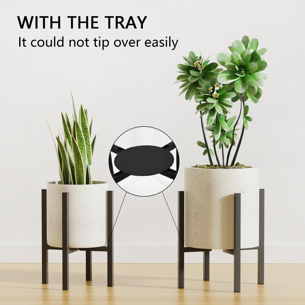 Linpla in-use by window with a plant elevated for improved light and style