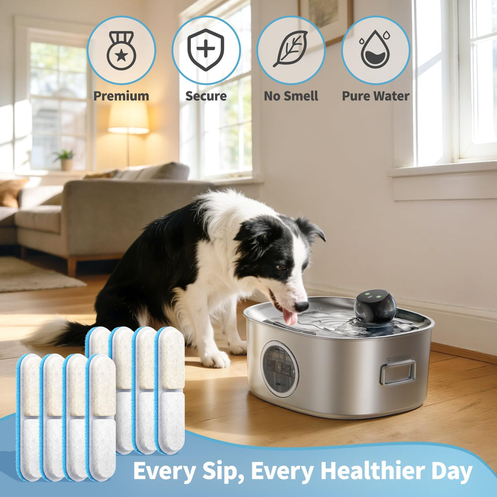 Linvivon filter next to coin for size comparison and easy handling benefit