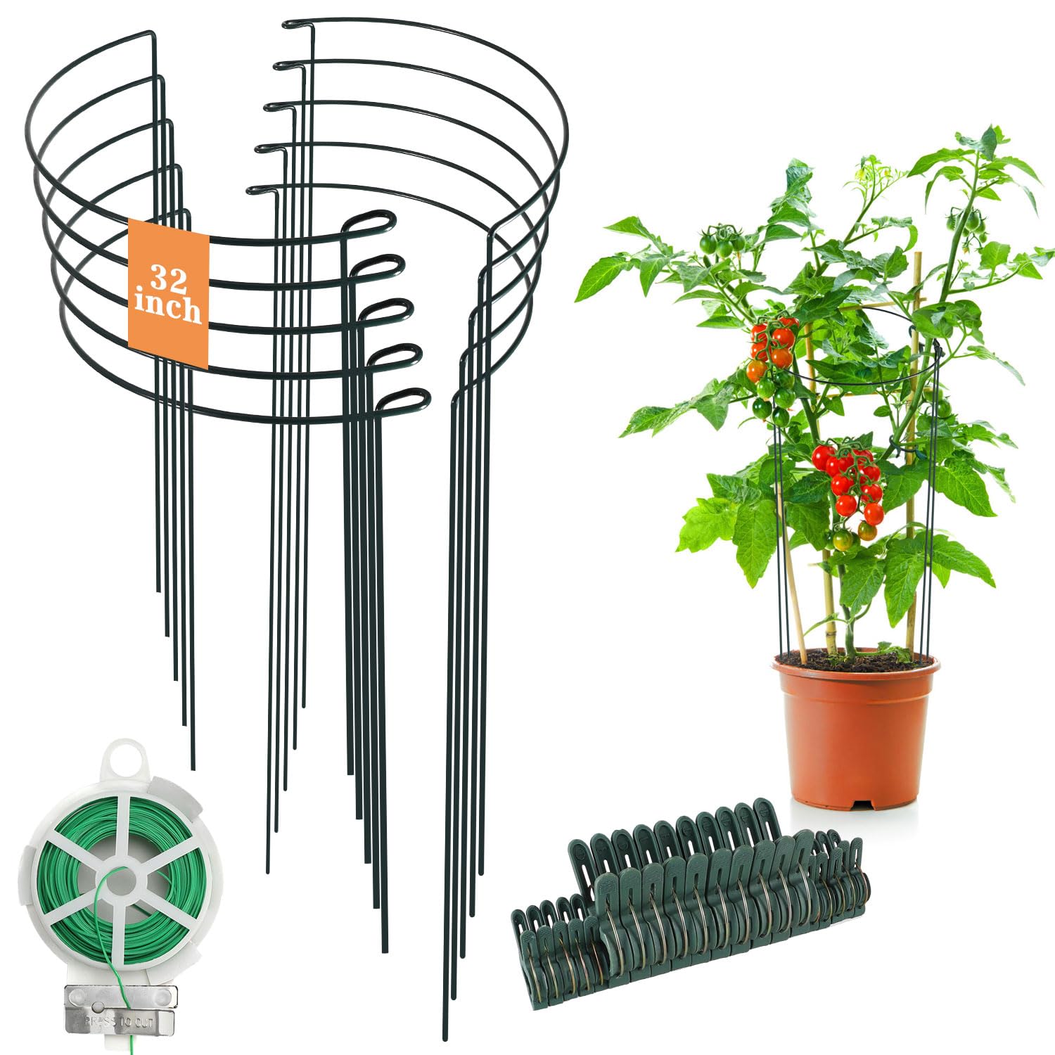 Linyona front view showing ten half-round stakes for stable plant support