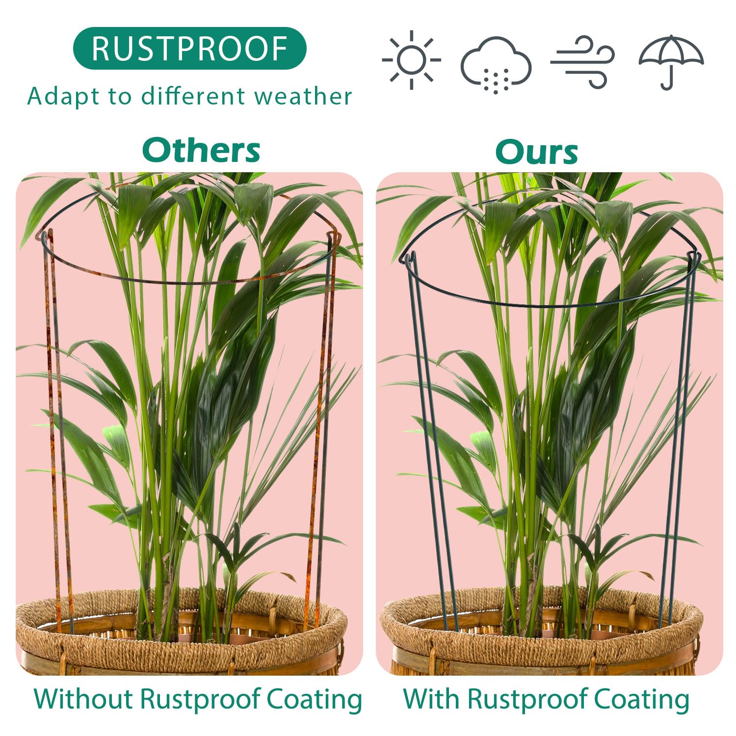Linyona comparison of 17-inch and extended 32-inch heights for growth stages