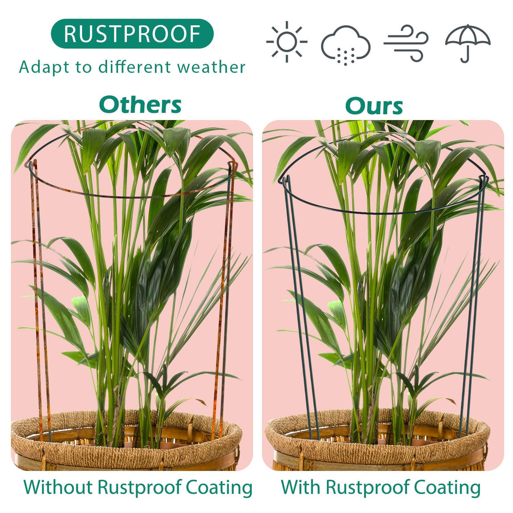 Linyona comparison of 17-inch and extended 32-inch heights for growth stages