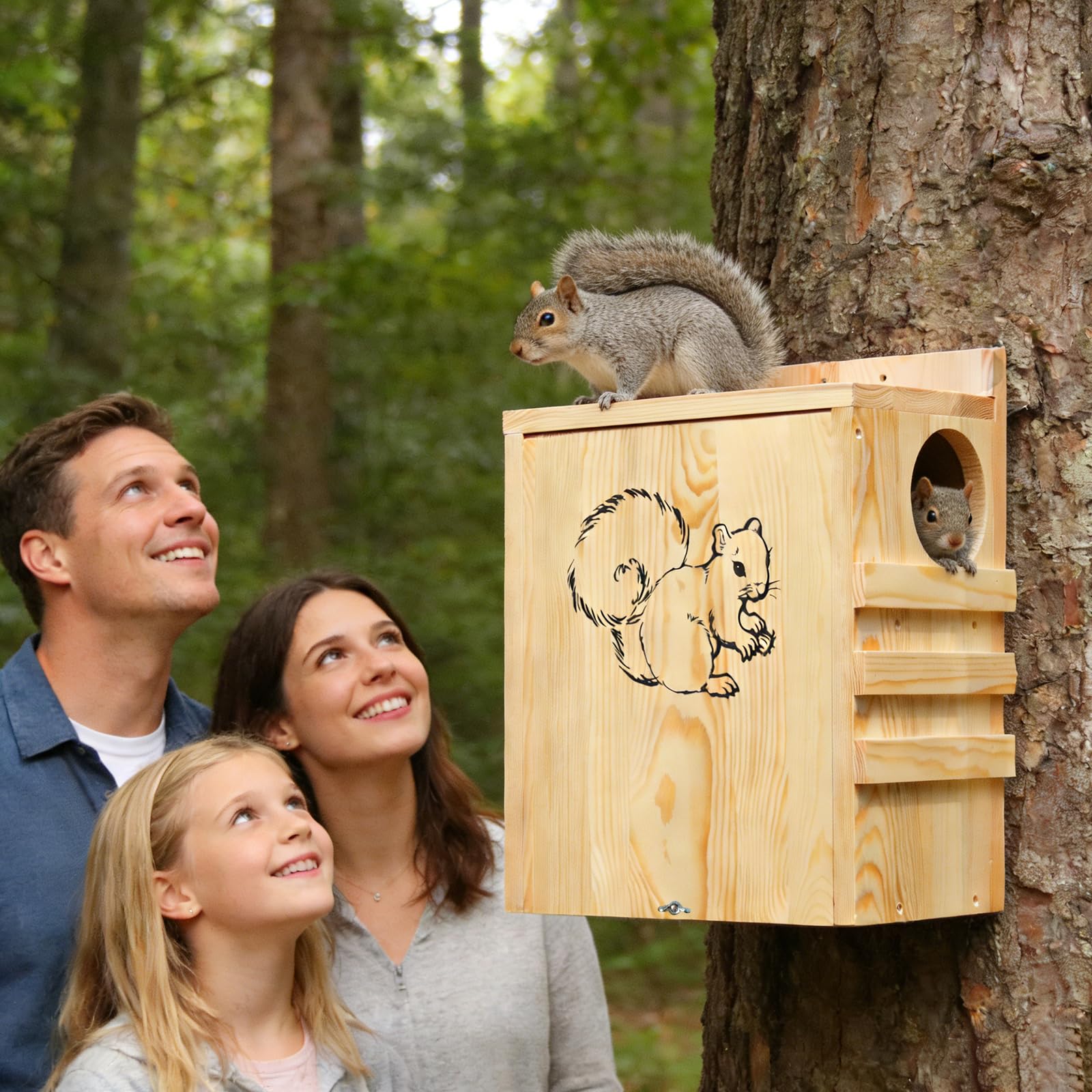 LitaiL squirrel house mounted on tree showing safe elevated placement benefit