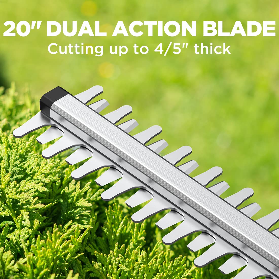 LiTHELi close-up of high-carbon steel dual-action blade for cleaner cuts