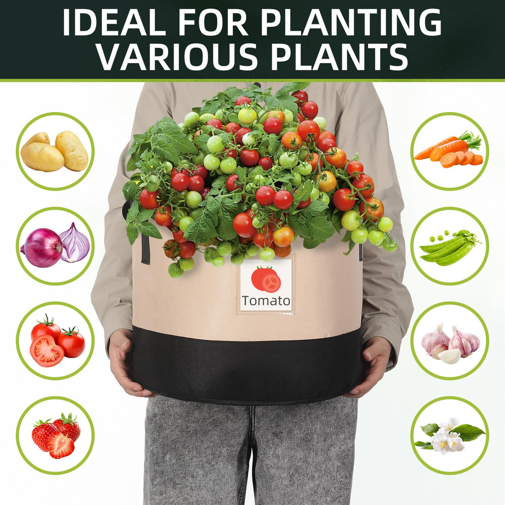 litlandstar grow bag with tomato plant demonstrating strong root support