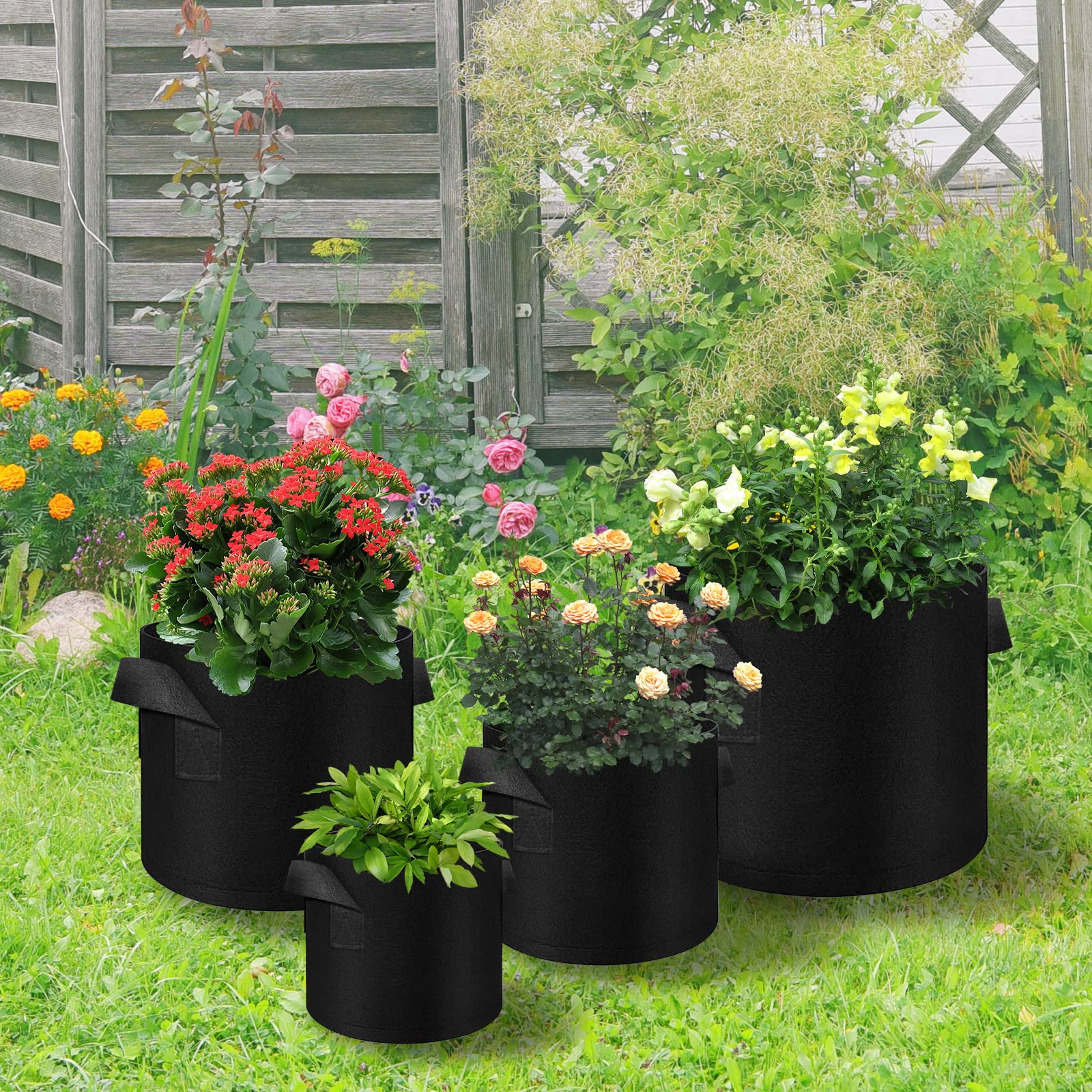 LITLANDSTAR product label showing dimensions and eco-friendly material benefits