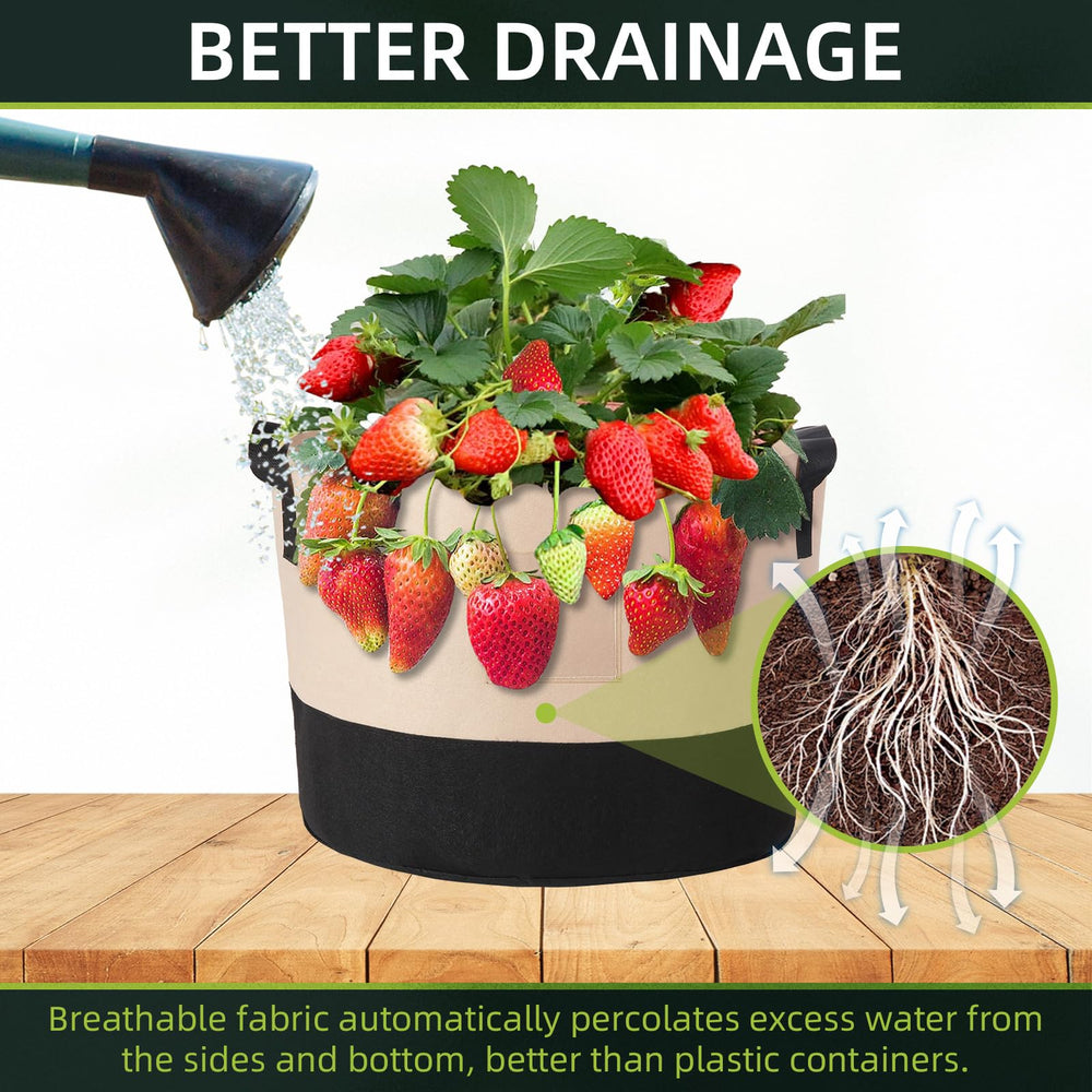 litlandstar transparent label sleeve showing easy plant identification