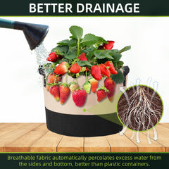 litlandstar transparent label sleeve showing easy plant identification