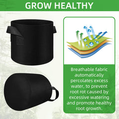 LITLANDSTAR grow bag with potato plant demonstrating healthy root space benefit