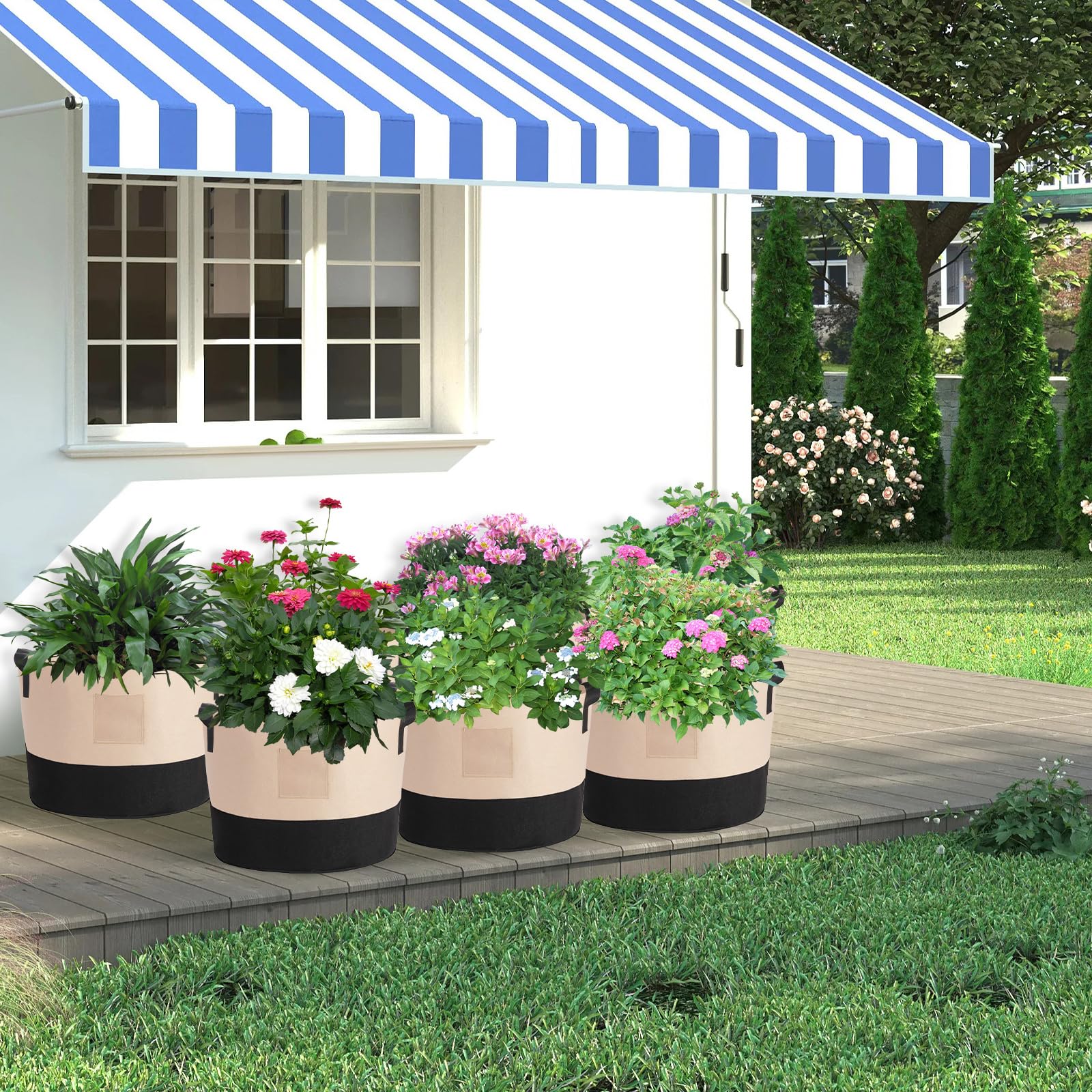litlandstar comparison of 10, 7, and 5 gallon sizes showing scale