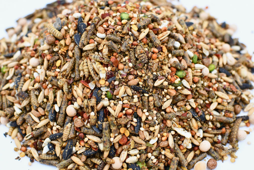LITTLE FARMER PRODUCTS open bag revealing crunchy mix texture and mealworms benefits