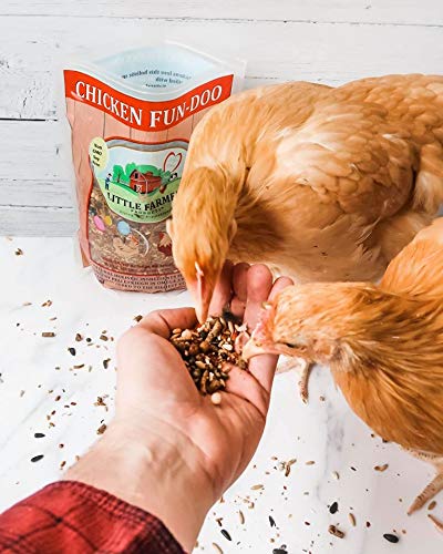 LITTLE FARMER PRODUCTS serving dish in use with chickens eating for enrichment