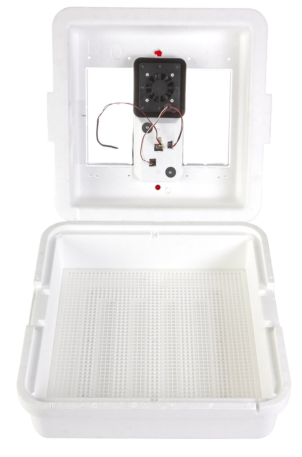 Little Giant front view showing incubator exterior and capacity benefit