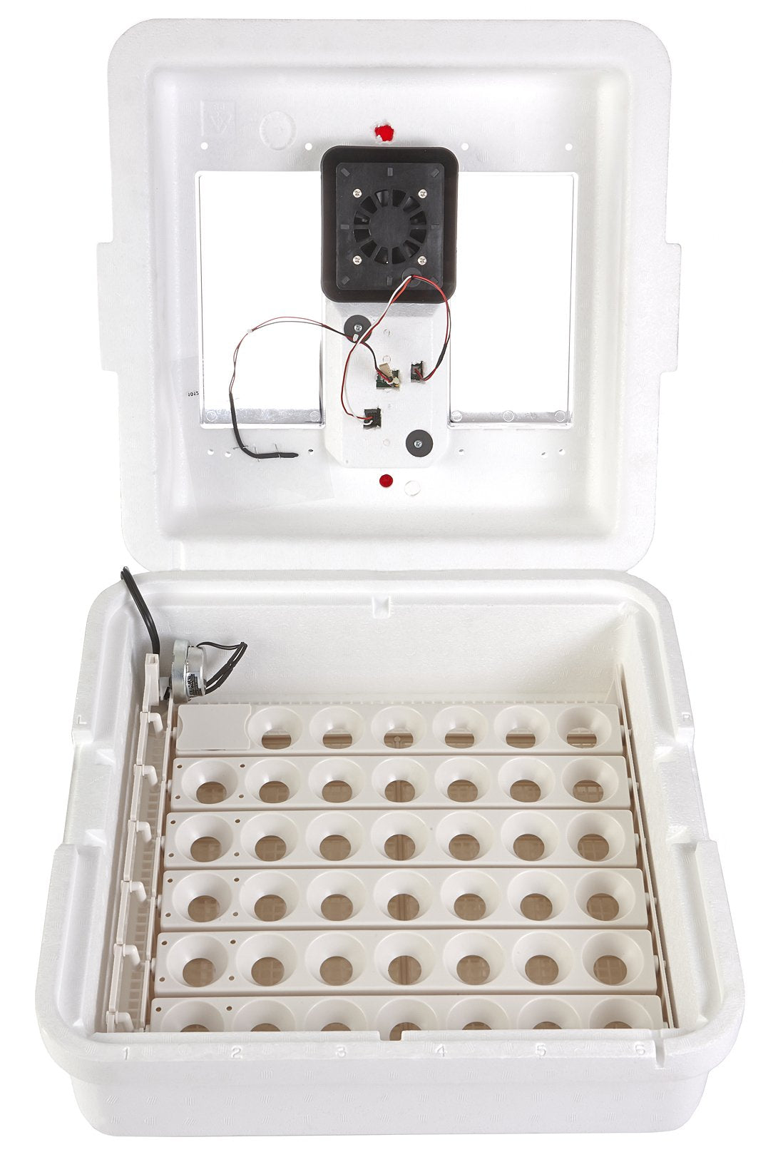 Little Giant internal fan and tray detail ensuring even airflow benefit