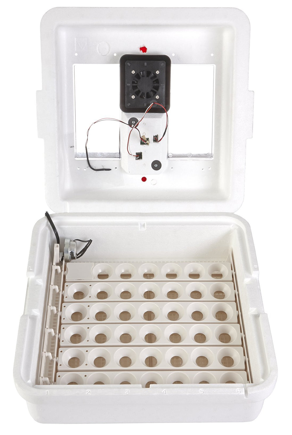Little Giant internal fan and tray detail ensuring even airflow benefit