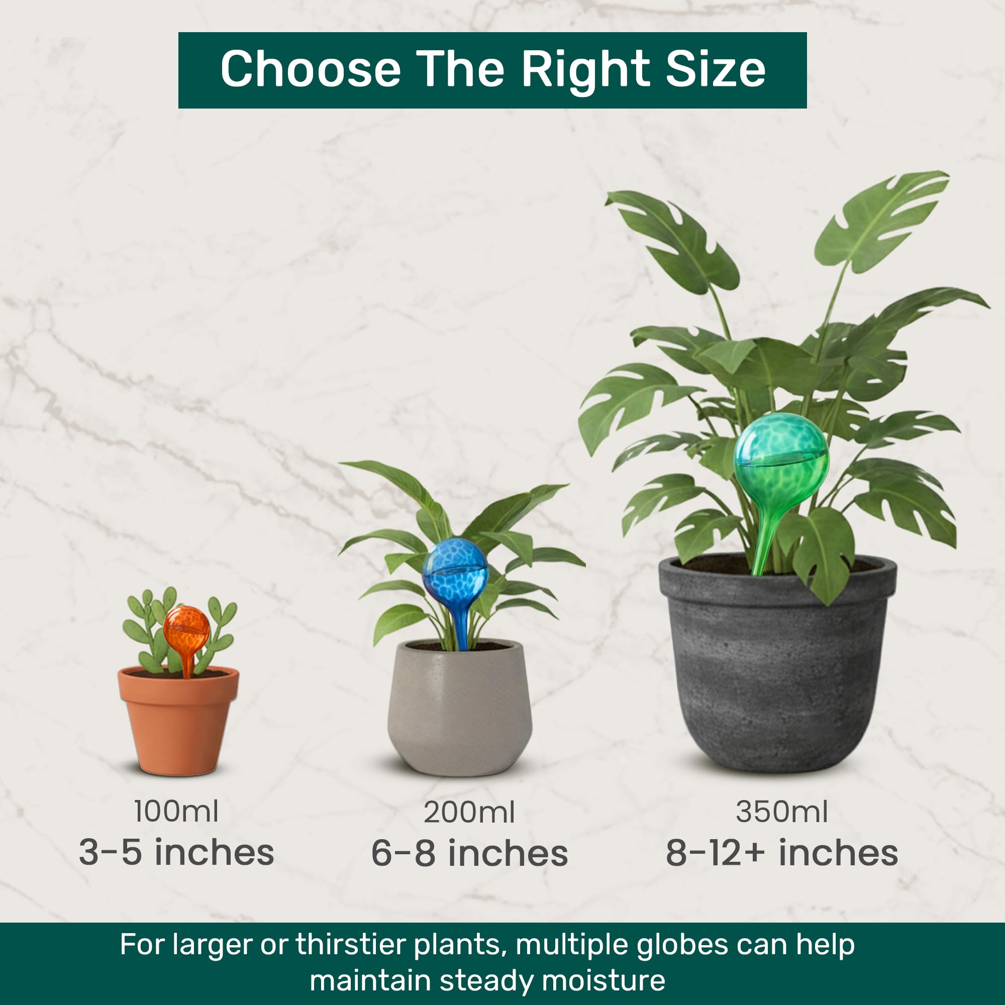 Little Green Leaf elegant packaging ready as a stylish plant-lover gift
