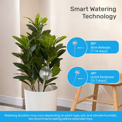 Little Green Leaf globe inserted in potted plant offering consistent hydration