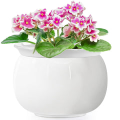 LITUDISO front view 8-inch pot showing modern design and durable ceramic reservoir