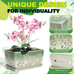 LKSSZS pot holding Phalaenopsis on windowsill demonstrating decorative appeal